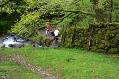 Hardknott Gill