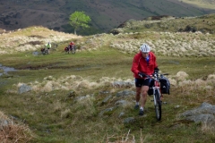 Dunnerdale Forest