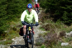 Dunnerdale Forest