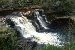 Wain Wath Force