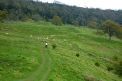 Near Richmond