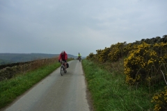 Moors near Osmotherley