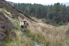 Round Hill