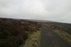 Blowowrth Crossing