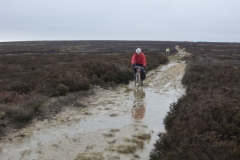 Fylingdales Moor