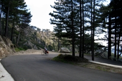 Ascending le Col de Sorba