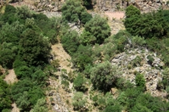 Spelunca Road Bridge