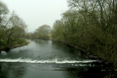 River Severn, Lower Leighton, Welshpool