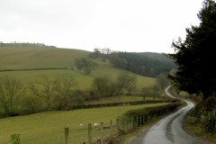 Hornby Hill, Llandinam