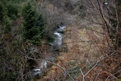 River Severn west of Llanidloes