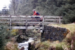 Hafren Forest