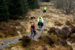 Hafren Forest