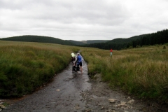Upper Towy Valley
