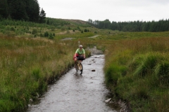 Upper Towy Valley