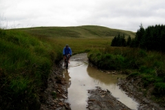 Upper Towy Valley