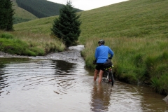 Upper Towy Valley