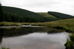Upper Towy Valley