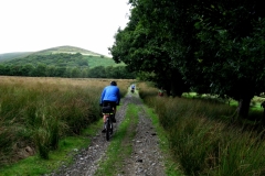 Track to Cefn'bran