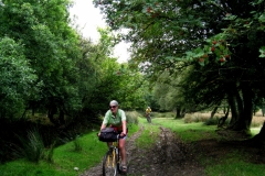 Track to Brongarth