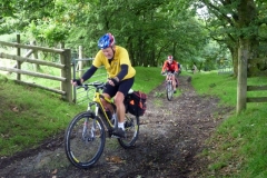 Track to Brongarth