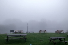 Foggy start from Tewkesbury