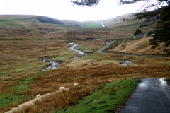 Kingdale above Ingleton