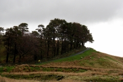 Top of Kingsdale, above Ingleton