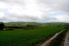 Lune Valley, near Teebay