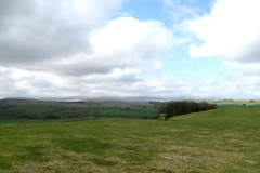 North of Orton