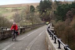 Lamley Viaduct