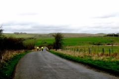 Approaching Once Brewed Youth Hostel