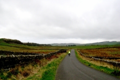 Melkridge Common