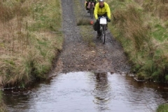Kielder Forest