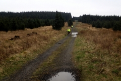 Kielder Forest