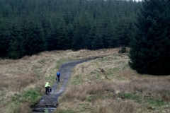 Kielder Forest