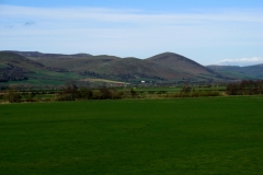 Cheviots