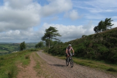 Sarn Helen