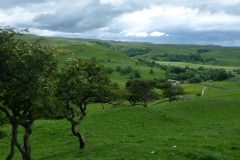 Malham Lings