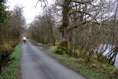 Back Lane from Pont Ty-Hyll