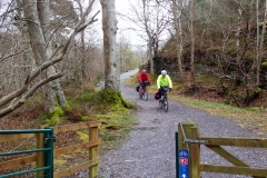 Cycleway to Bethesda