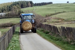 Back road to Abergwgregyn