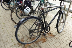 Cambridgeshire Guided Busway