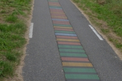 The Human Genome