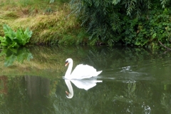 River Great Ouse