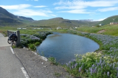 Tungudalsá