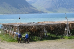 Fish drying near Flateyri
