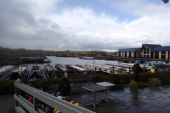 Willington Marina