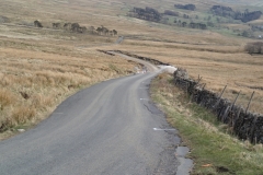 Fleet Moss