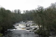 Aysgarth Falls