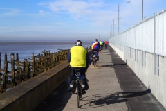 Cycleway meandering beside the Humber